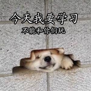 爱学习的Doge表情包合集