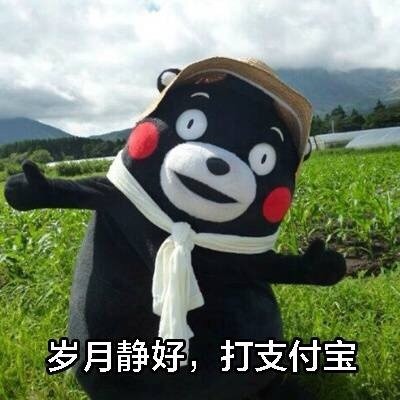 熊本熊版现代诗集表情包火了