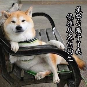 爱学习的Doge表情包合集