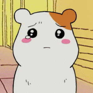 《仓鼠管家》惠比知由 GIF动图合集