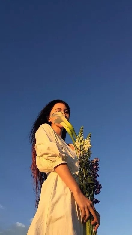 给手机换张新壁纸！这里有一波精选好看的手机壁纸合集