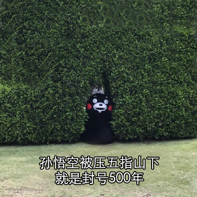 花木兰从军居然被调侃成史上最早代练？这套梗表情包火了