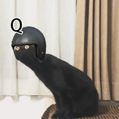 养猫斗图党看过来！这套小猫惊恐表情包太好用了