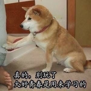 爱学习的Doge表情包合集