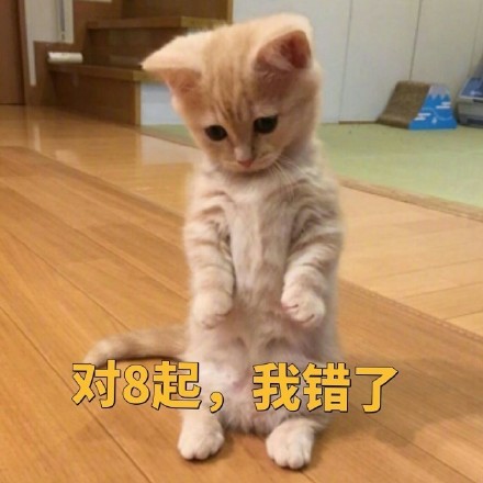 聊天斗图必备！这套小橘猫表情包太有意思了
