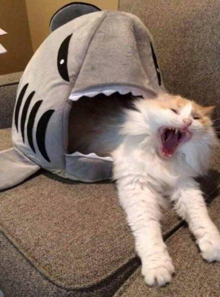 超甜情侣头像合集来啦