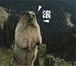 # 土拨鼠山鼠怒吼表情包合集 斗图用的萌系表情包