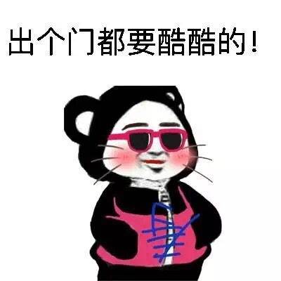 聊天斗图新选择！插兜系列表情包合集