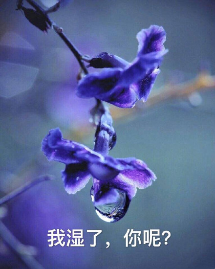 今日份沙雕聊天表情包上新啦