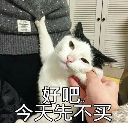 撸猫党狂喜！这套喵星人萌系表情包直接戳中心窝子