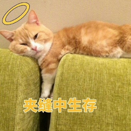 聊天斗图必备！这套小橘猫表情包太有意思了