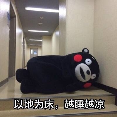 熊本熊版现代诗集表情包火了