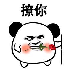小熊猫头斗图表情包合集 聊天怼人摸鱼都能用