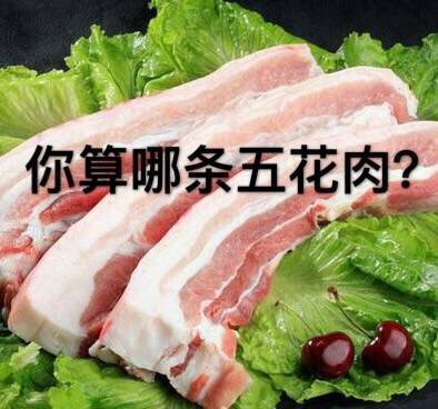 “你算个什么东西？”系列怼人表情包合集