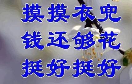 这套佛系九连表情包，把躺平心态直接焊在脸上