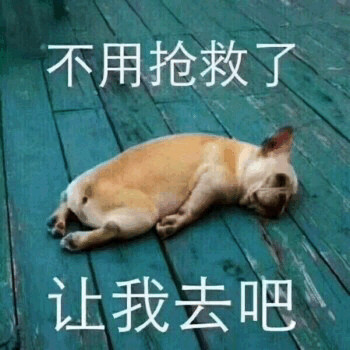 可爱汪星人表情包合集