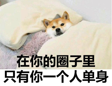 七夕临近，单身朋友的焦虑感又上来了