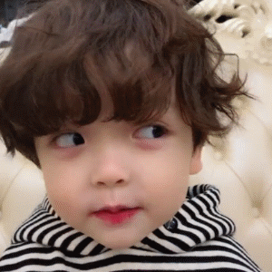 萌娃小小哲皓动图表情包来啦