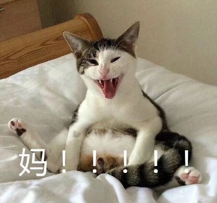 妈妈微信经常不回你？试试这套表情包救场！