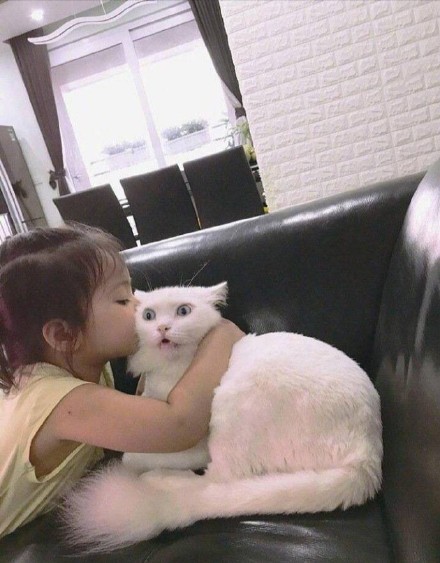 没被女孩子亲过？这套猫咪表情包帮你把紧张感拉满
