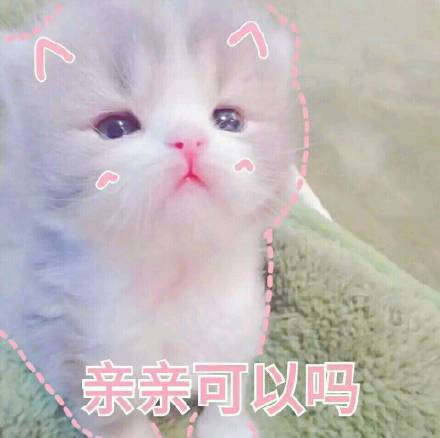 粉嘟嘟少女心猫咪表情包来啦