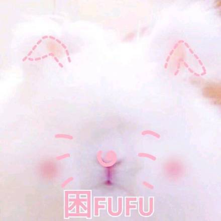 粉嘟嘟少女心猫咪表情包来啦