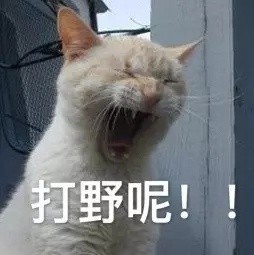 打游戏喊到嗓子哑？这套表情包完美戳中你的日常