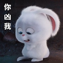 《爱宠大机密》兔子表情包合集