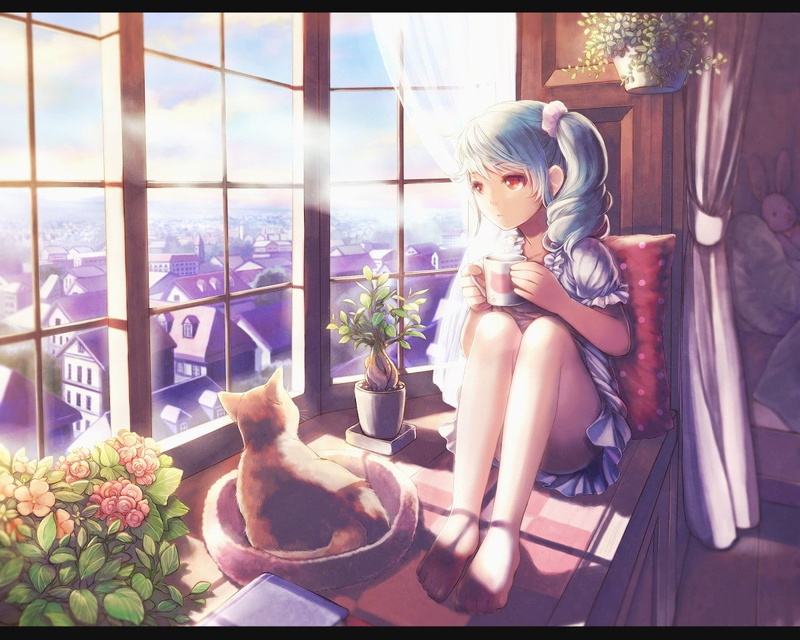 猫咪少女二次元壁纸合集