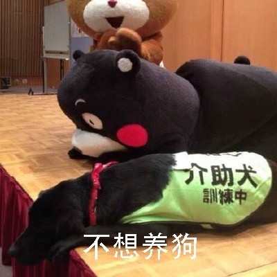 这套熊本熊“你想艾特谁”表情包，快看看能@谁