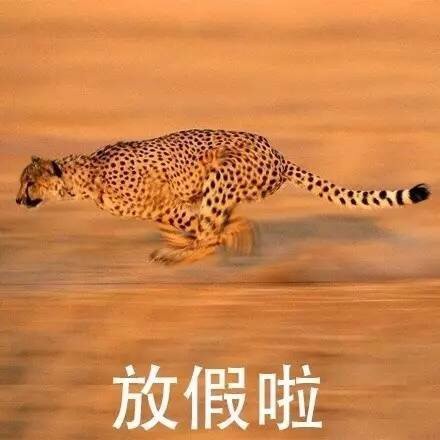 打工人必备！溜了溜了系列表情包合集