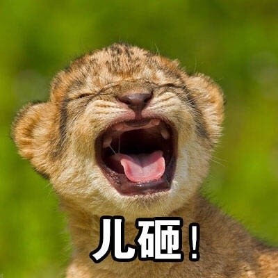 快把这套表情发给你家“儿砸”