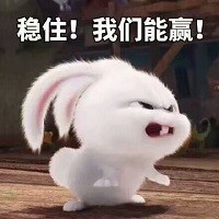 《爱宠大机密》兔子表情包合集