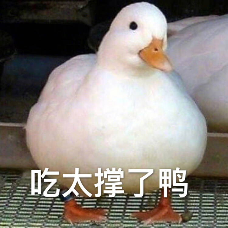 超实用鸭鸭表情包合集来啦