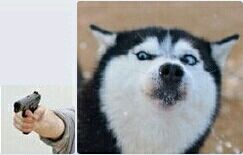 撩妹必备！“小姐姐，一起快活啊”表情包合集