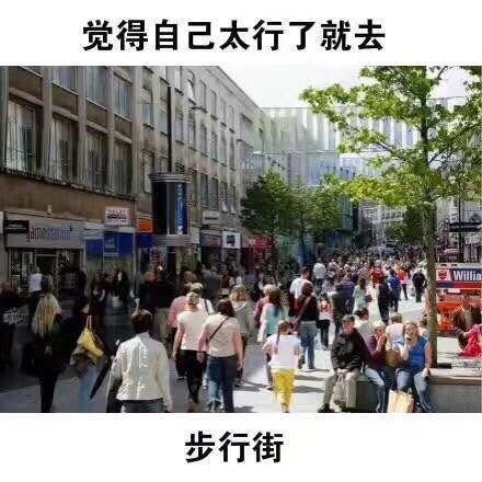 就给大家指条明路的内涵表情包合集来了