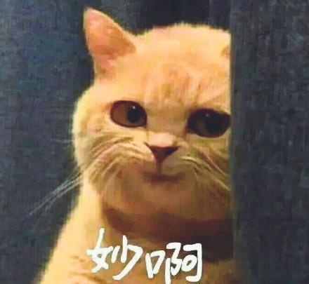 现在整理一下这篇新闻稿的重写，严格按照要求来：