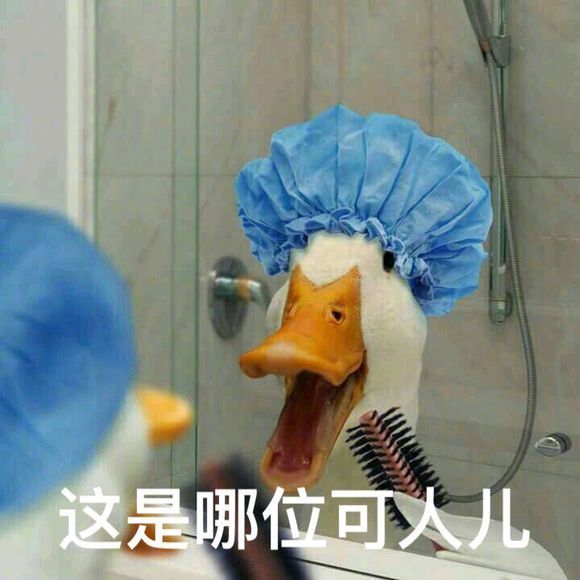 超实用小鸭子表情包合集