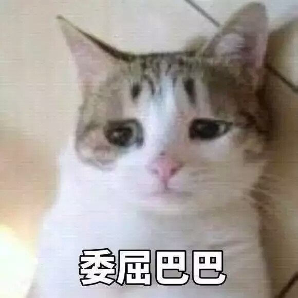 一脸委屈的猫猫表情包合集