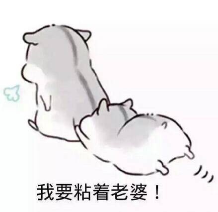 专为宠妻准备的聊天表情包合集