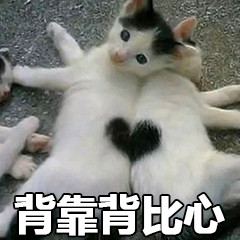 救命！这套猫咪表情包也太治愈了，快拿去吸猫