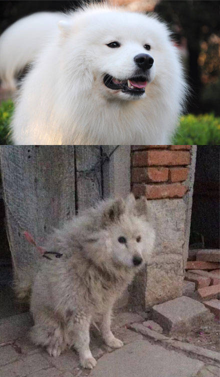 双十一前后的你反差有多大？