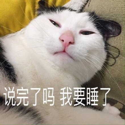 猫咪萌萌表情包合集来啦