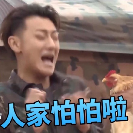 黄子韬同款表情包合集来了