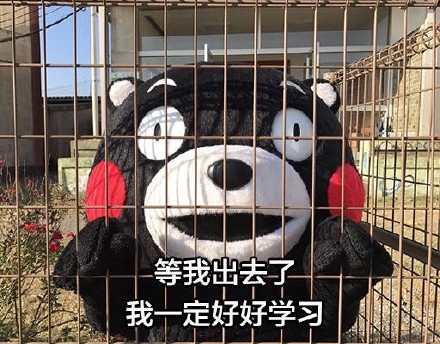 等我出去，我要把你们...熊本熊表情包合集