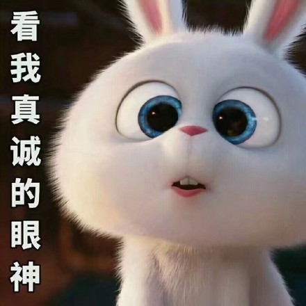 《爱宠大机密》小白兔表情包来啦，聊天斗图用得上