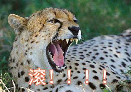 父女对话表情包火了！一句“我妈呢”戳中多少人的日常