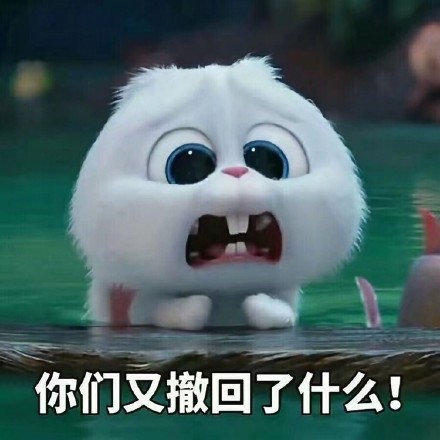 《爱宠大机密》小白兔表情包来啦，聊天斗图用得上