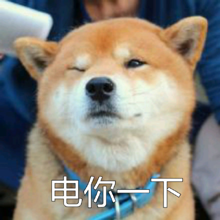 # 火遍全网的柴犬Doge，才是表情包界的老大哥