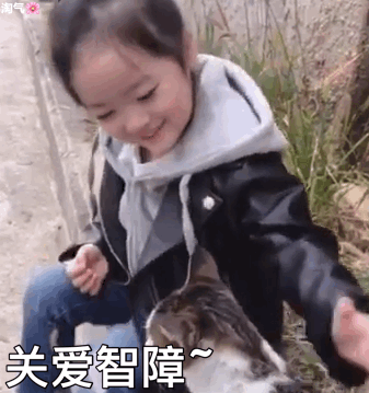 权律二撸猫表情包合集来啦